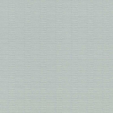 Rasch Axiom 960914